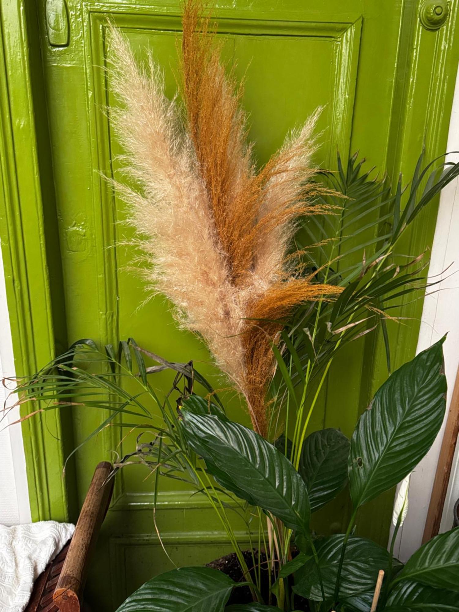 Most Charming Apartment Paris Center Esterno foto